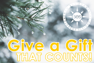 Give the Gift of a Donation Thumbnail